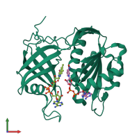 PDB entry 3w2f coloured by chain, front view.
