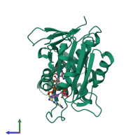 PDB entry 3w2f coloured by chain, side view.