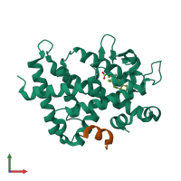 PDB entry 3w5p coloured by chain, front view.