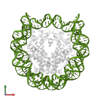 146-mer DNA in PDB entry 3w97, assembly 1, front view.