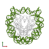 DNA (146-MER) in PDB entry 3wa9, assembly 1, front view.