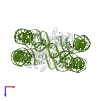 DNA (146-MER) in PDB entry 3wa9, assembly 1, top view.