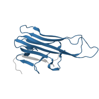 The deposited structure of PDB entry 3wd5 contains 1 copy of Pfam domain PF00229 (TNF(Tumour Necrosis Factor) family) in Tumor necrosis factor, soluble form. Showing 1 copy in chain A.