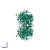Homo dimeric assembly 1 of PDB entry 3wf1 coloured by chemically distinct molecules, side view.