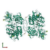 Homo dimeric assembly 2 of PDB entry 3wf1 coloured by chemically distinct molecules, front view.