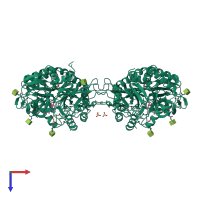 Homo dimeric assembly 2 of PDB entry 3wf1 coloured by chemically distinct molecules, top view.