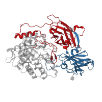 The deposited structure of PDB entry 3wf2 contains 8 copies of CATH domain 2.60.120.260 (Jelly Rolls) in Beta-galactosidase. Showing 2 copies in chain A.