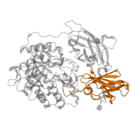 The deposited structure of PDB entry 3wf2 contains 4 copies of Pfam domain PF21317 (Beta-galactosidase, first all-beta domain) in Beta-galactosidase. Showing 1 copy in chain A.