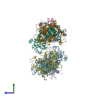 PDB entry 3wgu coloured by chain, side view.