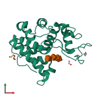 PDB entry 3wh1 coloured by chain, front view.