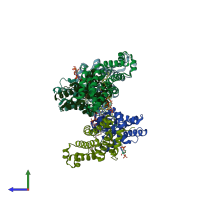 PDB entry 3whc coloured by chain, side view.