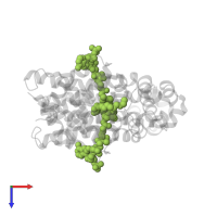 STEAROYL-COENZYME A in PDB entry 3whc, assembly 1, top view.