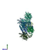 PDB entry 3whk coloured by chain, side view.