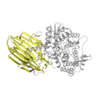 The deposited structure of PDB entry 3wiq contains 1 copy of Pfam domain PF03636 (Glycosyl hydrolase family 65, N-terminal domain ) in Kojibiose phosphorylase. Showing 1 copy in chain A.