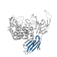 The deposited structure of PDB entry 3wkw contains 1 copy of Pfam domain PF20736 (Beta-L-arabinofuranosidase, GH127 middle domain) in Non-reducing end beta-L-arabinofuranosidase. Showing 1 copy in chain A.