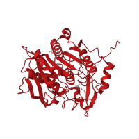 The deposited structure of PDB entry 3wl8 contains 1 copy of CATH domain 3.40.50.1820 (Rossmann fold) in Oxidized polyvinyl alcohol hydrolase. Showing 1 copy in chain A.