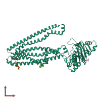 PDB entry 3wmg coloured by chain, front view.