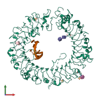PDB entry 3wpd coloured by chain, front view.