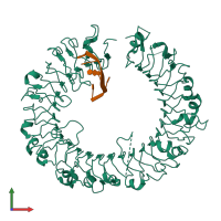 PDB entry 3wpe coloured by chain, front view.
