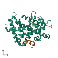 PDB entry 3wt7 coloured by chain, front view.