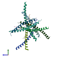 PDB entry 3wut coloured by chain, side view.