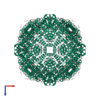 Homo 24-meric assembly 1 of PDB entry 3wvu coloured by chemically distinct molecules, top view.