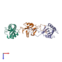 Hetero trimeric assembly 2 of PDB entry 3wwk coloured by chemically distinct molecules, top view.