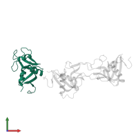 C-type lectin domain family 1 member B in PDB entry 3wwk, assembly 1, front view.
