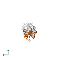 Snaclec rhodocytin subunit alpha in PDB entry 3wwk, assembly 1, side view.