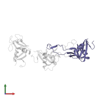 Snaclec rhodocytin subunit beta in PDB entry 3wwk, assembly 1, front view.