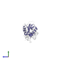 Snaclec rhodocytin subunit beta in PDB entry 3wwk, assembly 1, side view.