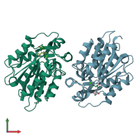 PDB entry 3wwo coloured by chain, front view.