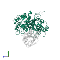 Ubiquitin carboxyl-terminal hydrolase CYLD in PDB entry 3wxf, assembly 2, side view.