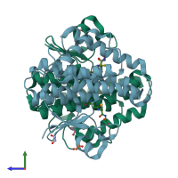 PDB entry 3wyw coloured by chain, side view.