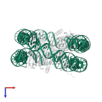 DNA (146-MER) in PDB entry 3x1t, assembly 1, top view.