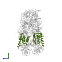 Histone H2B type 1-A in PDB entry 3x1t, assembly 1, side view.
