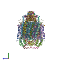 PDB entry 3x2q coloured by chain, side view.