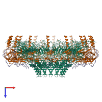 Hetero 42-meric assembly 1 of PDB entry 3zbi coloured by chemically distinct molecules, top view.