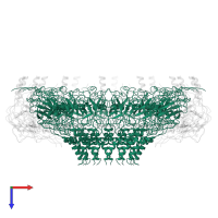 TraF protein in PDB entry 3zbi, assembly 1, top view.