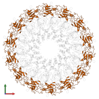 TraO protein in PDB entry 3zbi, assembly 1, front view.