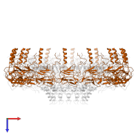 TraO protein in PDB entry 3zbi, assembly 1, top view.