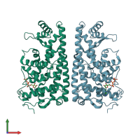 PDB entry 3zcn coloured by chain, front view.