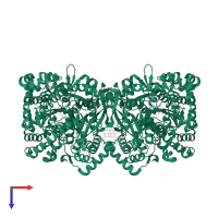 Glycogen phosphorylase, muscle form in PDB entry 3zct, assembly 1, top view.