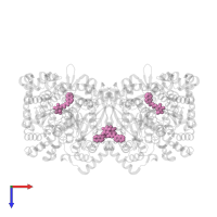 N-[[(2R,3R,4S,5S,6R)-6-(hydroxymethyl)-3,4,5-tris(oxidanyl)oxan-2-yl]carbamoyl]naphthalene-2-carboxamide in PDB entry 3zct, assembly 1, top view.