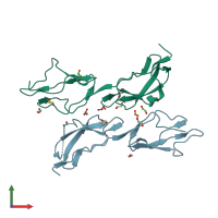 PDB entry 3zd2 coloured by chain, front view.