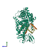 PDB entry 3zd6 coloured by chain, side view.