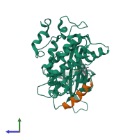 Hetero dimeric assembly 1 of PDB entry 3zdi coloured by chemically distinct molecules, side view.