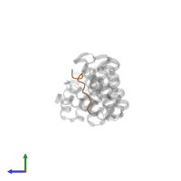 Pleckstrin homology domain-containing family M member 2 in PDB entry 3zfw, assembly 1, side view.