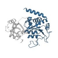 The deposited structure of PDB entry 3zgv contains 2 copies of CATH domain 3.40.50.1220 (Rossmann fold) in NAD-dependent protein deacetylase sirtuin-2. Showing 1 copy in chain B.