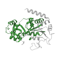 The deposited structure of PDB entry 3zgv contains 2 copies of Pfam domain PF02146 (Sir2 family) in NAD-dependent protein deacetylase sirtuin-2. Showing 1 copy in chain B.